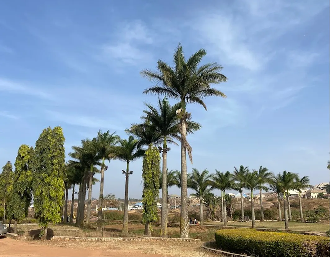 Solomon Lar Amusement Park